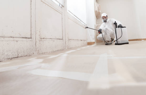 24/7 Emergency Crawl Space Mold Remediation experts in Heathsville, VA