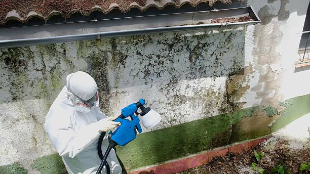 Top rated local Crawl Space Mold Remediation specialists in Heathsville, VA
